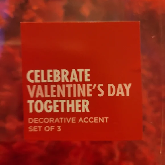 Kohl's Celebrate Together™ Valentine's Day Artificial Succulent Planter 3-pieces - Picture 14 of 16